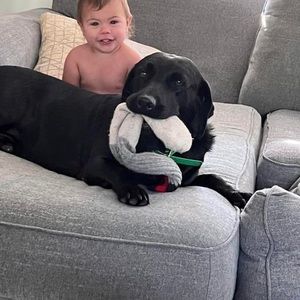 Meet your Posher, Kyle